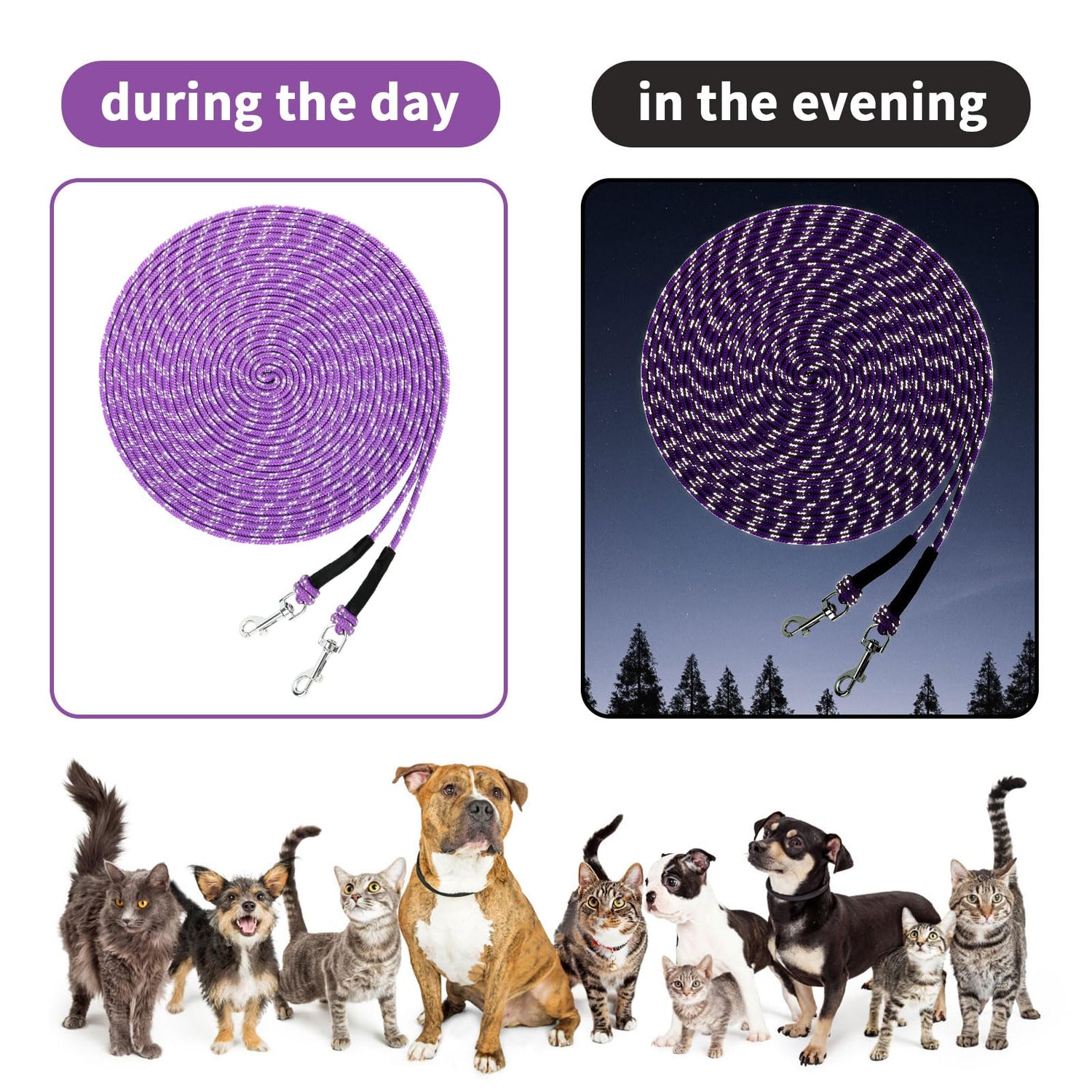 Dog and Cat Retractable Leashes