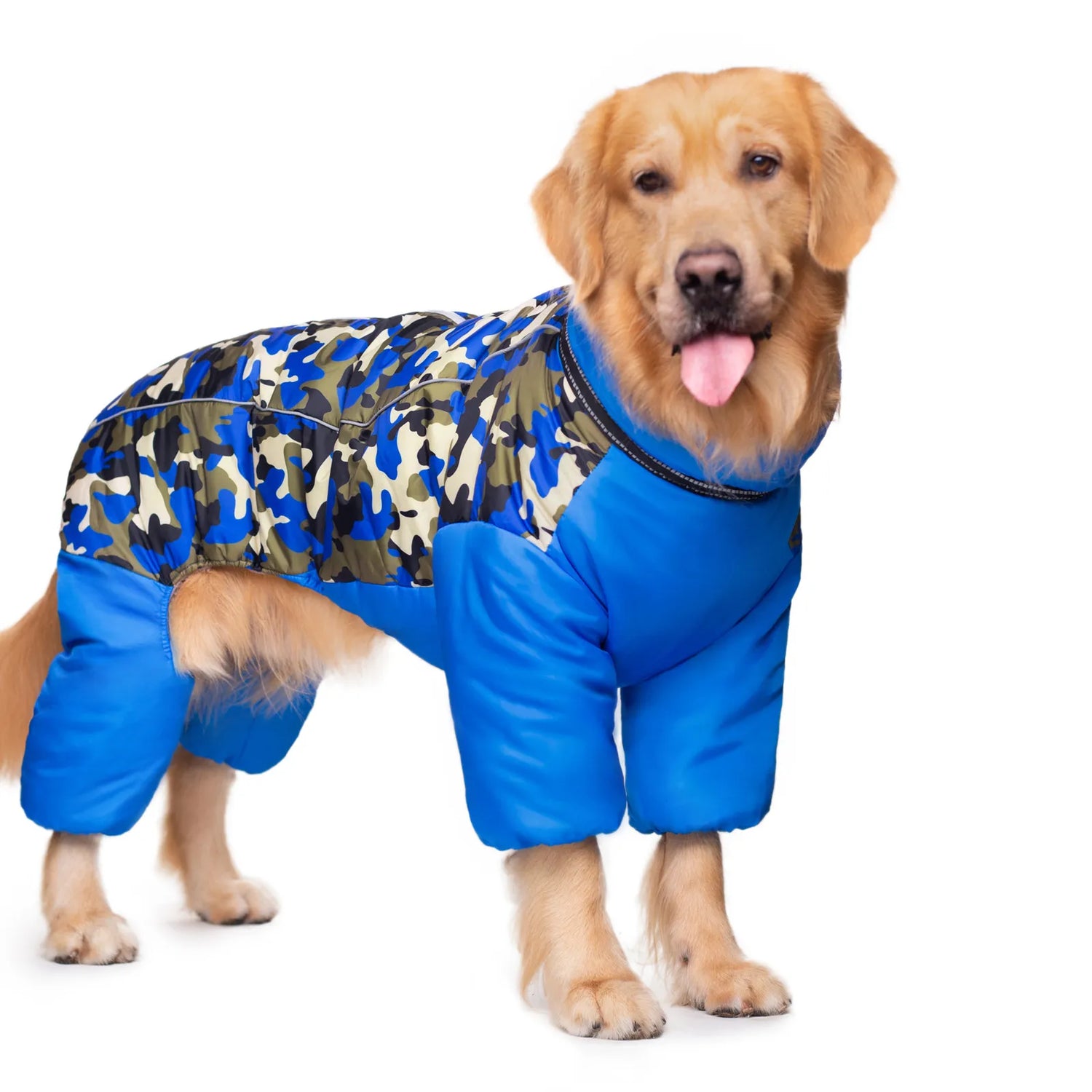 Apparel