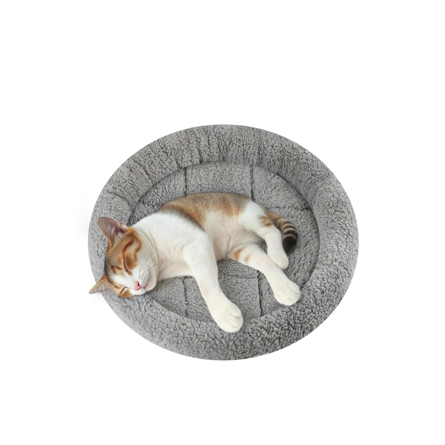 Cat Beds