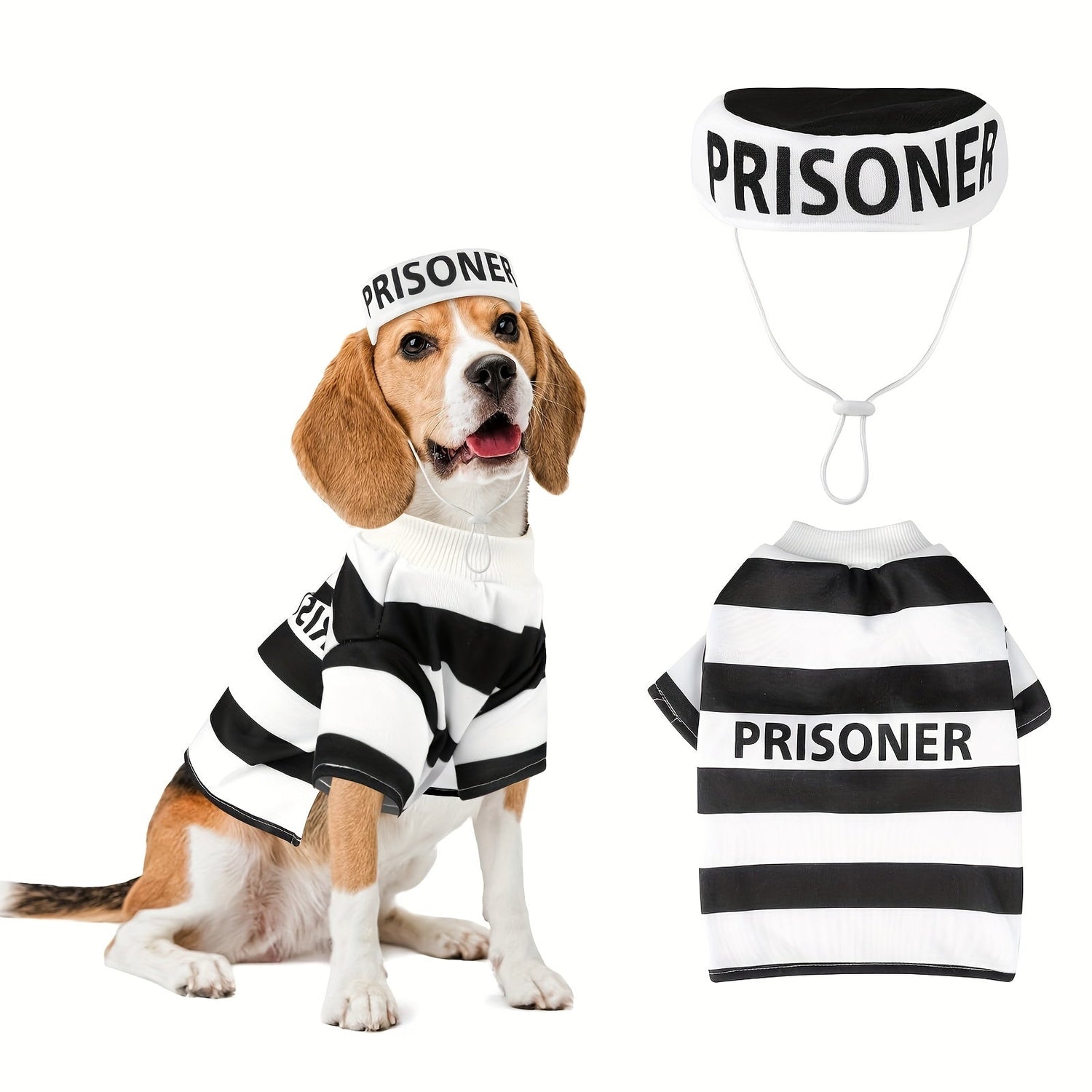 Dog Apparel