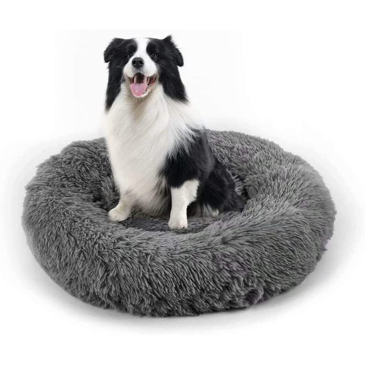 Dog Beds