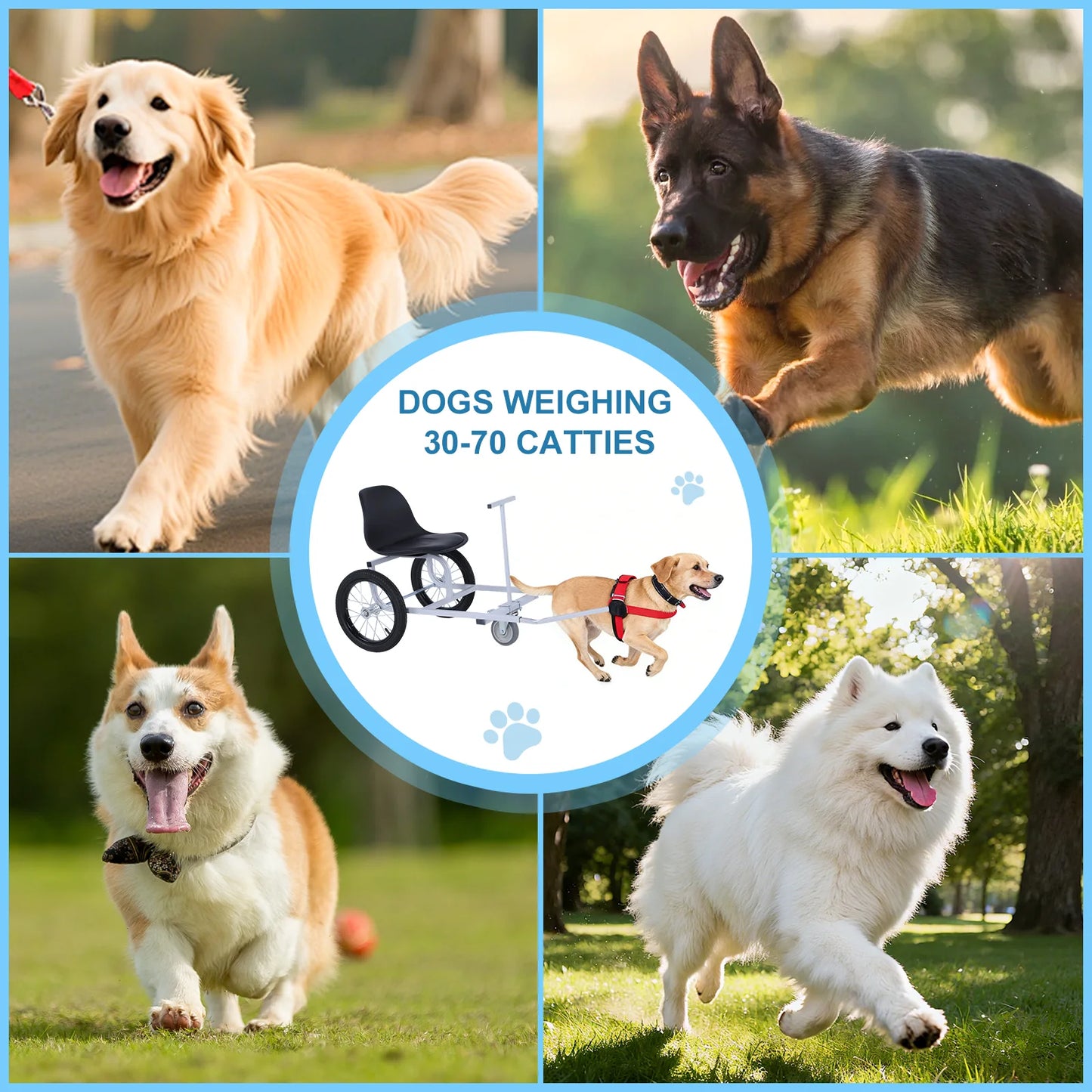 Dog Pulling Person Car with Armrests & Dog Leash Light Dog Pull Car for Golden Retriever Mixed-breed Dog
