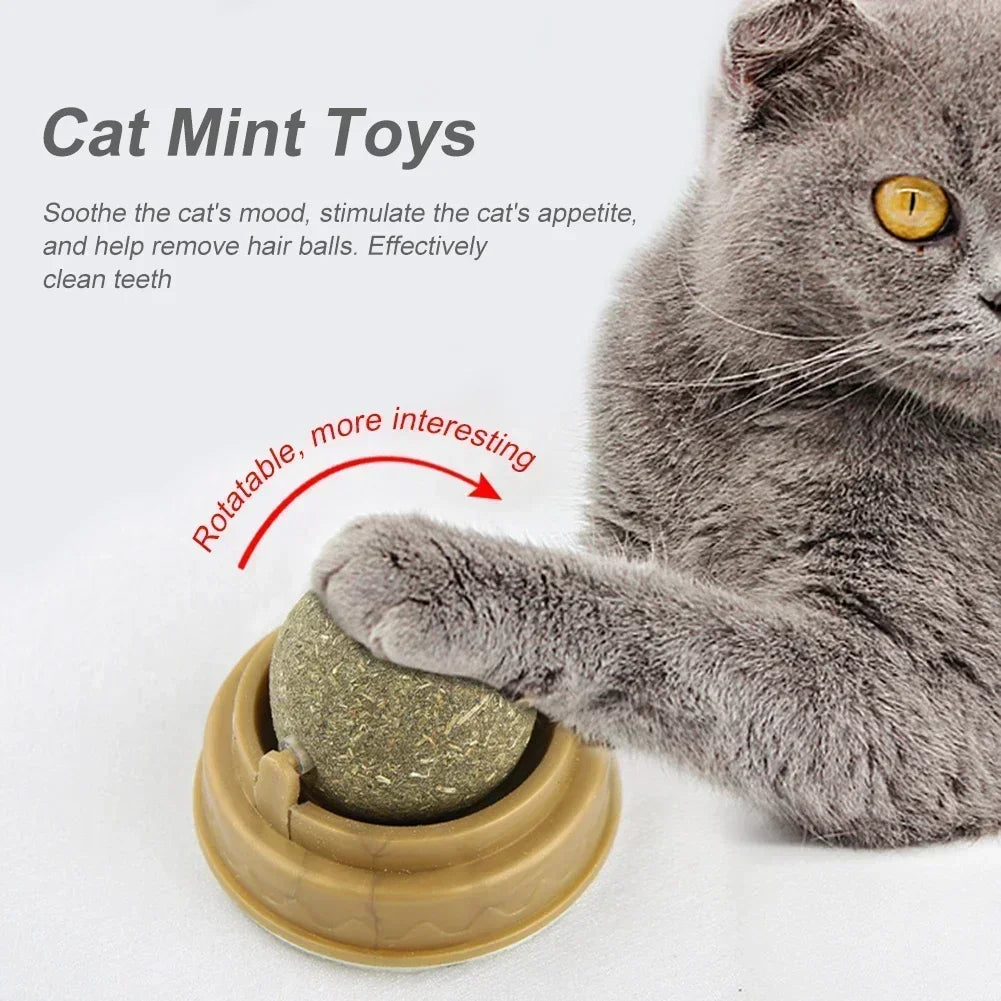 1-10PC Pet Catnip Toys Edible Catnip Ball Safety Healthy Cat Mint Cats Chasing Game Toy Products Clean Teeth The Stomach Catmint