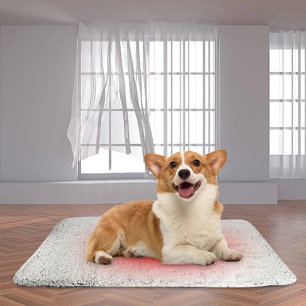Self-Warming Cat Bed Pad Self-Heating Pet Warming Pad Washable Cat Warmer Mat Soft Thickened Blanket Pad for Indoor Outdoor Pets