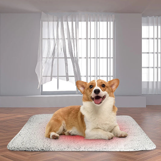 Self-Warming Cat Bed Pad Self-Heating Pet Warming Pad Washable Cat Warmer Mat Soft Thickened Blanket Pad for Indoor Outdoor Pets