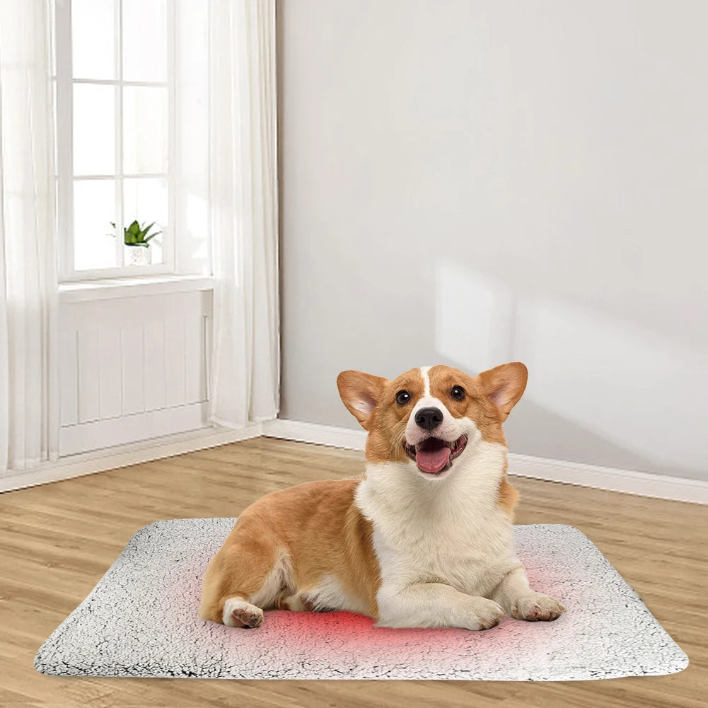 Self-Warming Cat Bed Pad Self-Heating Pet Warming Pad Washable Cat Warmer Mat Soft Thickened Blanket Pad for Indoor Outdoor Pets