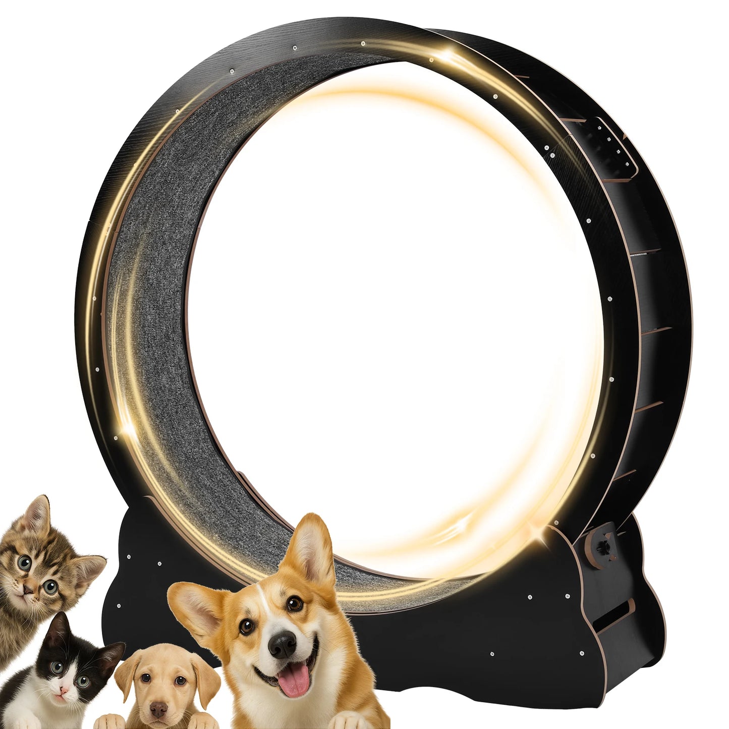 Cats Exercise Running Wheel 43 Inch Large Cat Running Treadmill Wheel for Indoor Cats