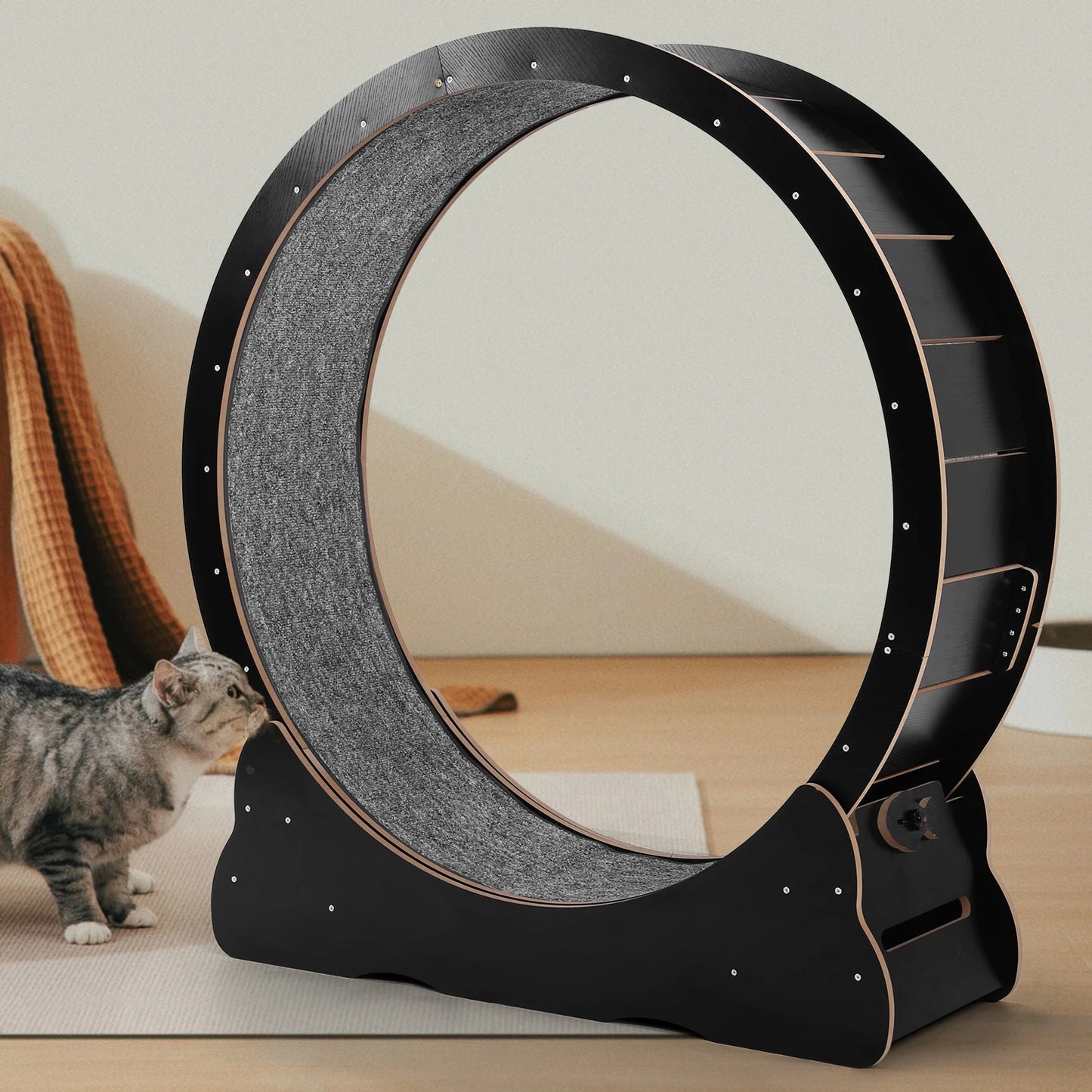 Cats Exercise Running Wheel 43 Inch Large Cat Running Treadmill Wheel for Indoor Cats