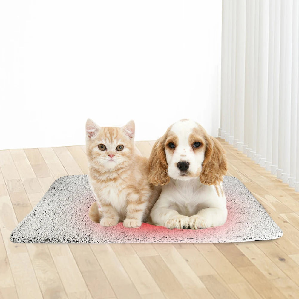 Self-Warming Cat Bed Pad Self-Heating Pet Warming Pad Washable Cat Warmer Mat Soft Thickened Blanket Pad for Indoor Outdoor Pets